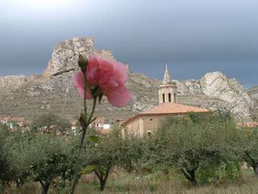 Hotel Rural El Horno De 알리아가 외부 사진