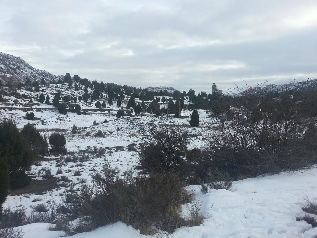 Hotel Rural El Horno De 알리아가 외부 사진