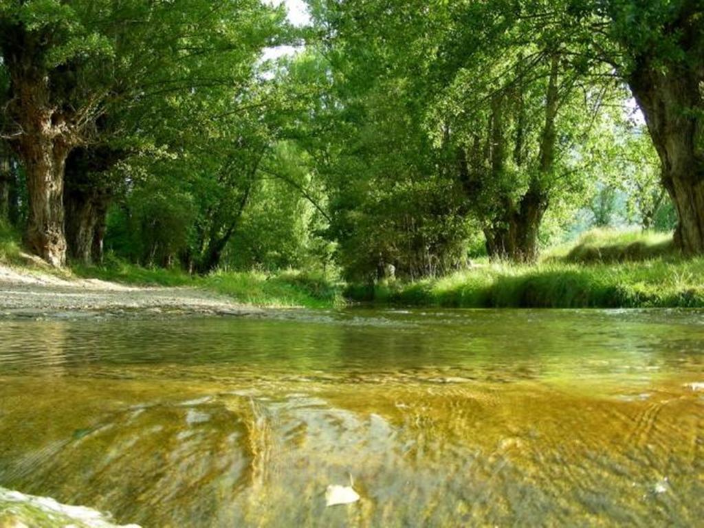 Hotel Rural El Horno De 알리아가 외부 사진